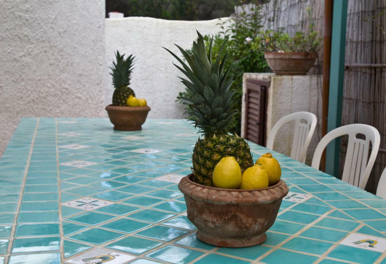 Jungle House - Pineta Is Morus Villa Santa Margherita di Pula Dış mekan fotoğraf