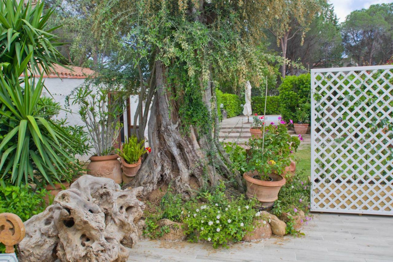 Jungle House - Pineta Is Morus Villa Santa Margherita di Pula Dış mekan fotoğraf